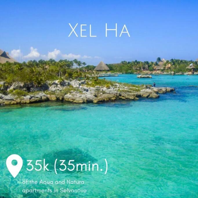 Casa Mayab A 10 Min En Auto De La Playa, Wifi, Albercas, Gym * Playa del Carmen