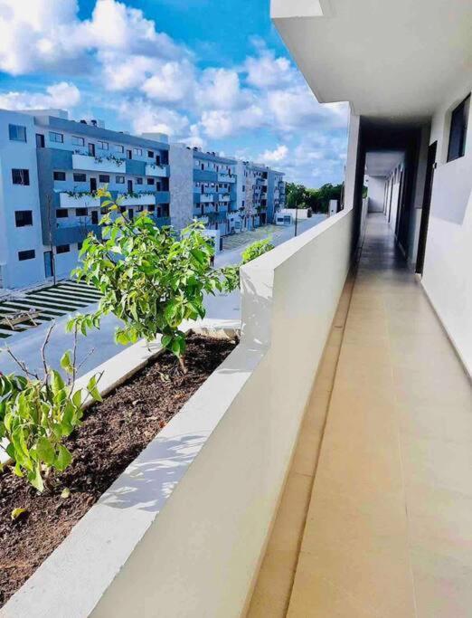 Apartamento Casa Mayab A 10 Min En Auto De La Playa, Wifi, Albercas, Gym *